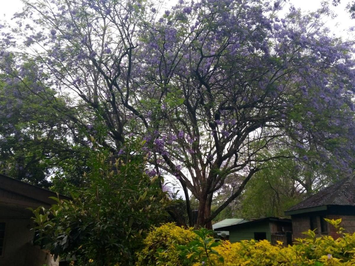 The Cottage-Place Of Grace 2Bdrm And Loft Bed All 4U At Usd58 Nairobi Exterior photo
